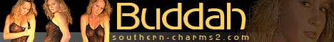 banner-orangefade.gif (32648 bytes)