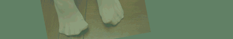 buddahban01.gif (71192 bytes)