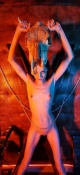 Photo Issue 86