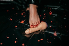Photo Issue 102